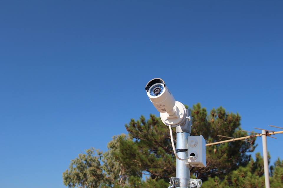 14021544_10210289860624068_1737528421589368567_n