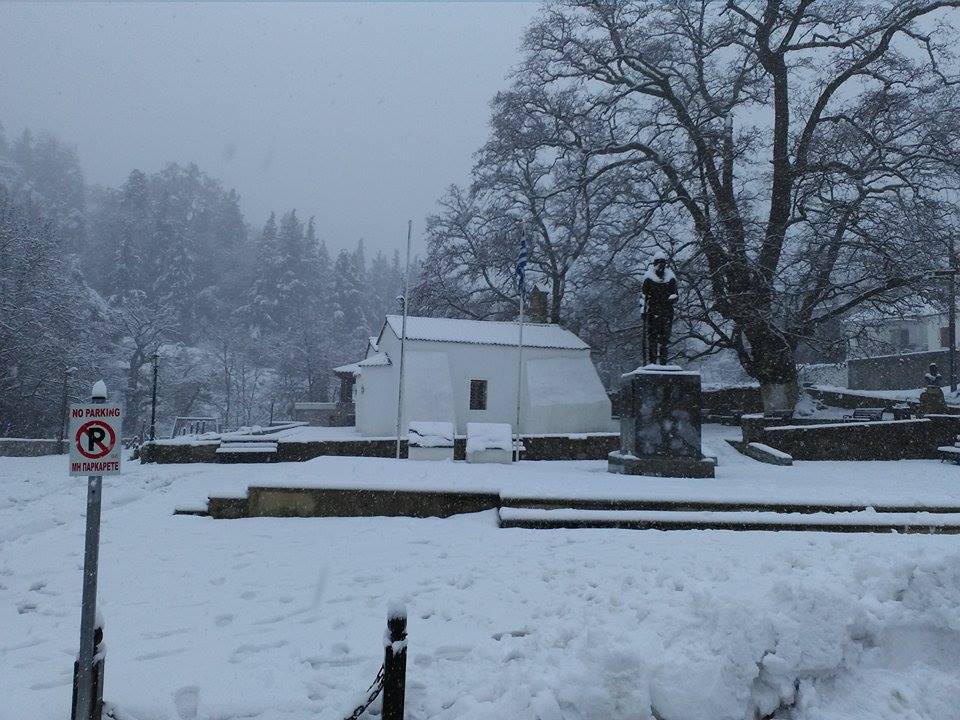 theriso1_katsifarakis