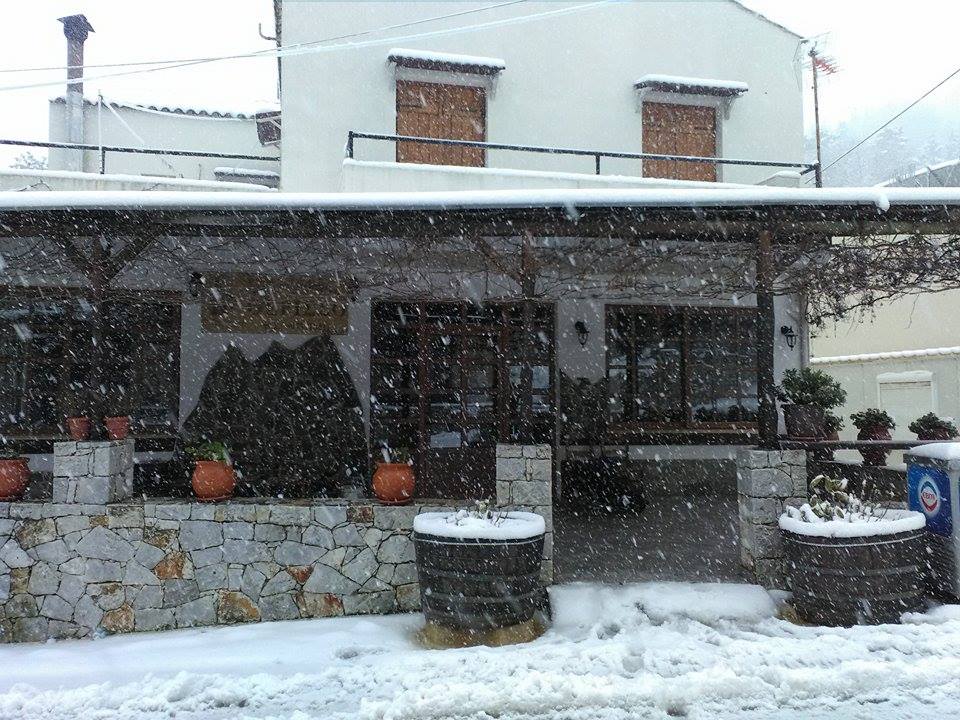 theriso3_katsifarakis