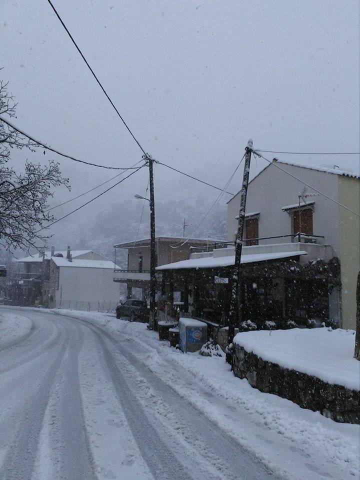 theriso_katsifarakis