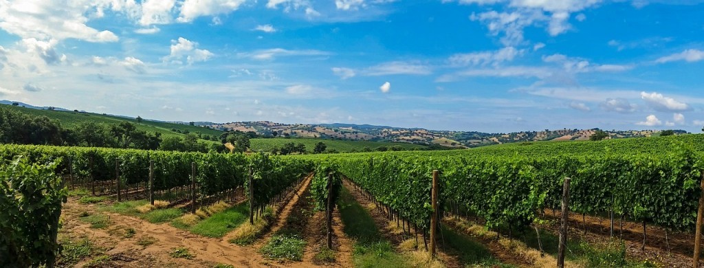 χανιά-ενημέρωση-προς-αγρότες-για-τη-χο-245096