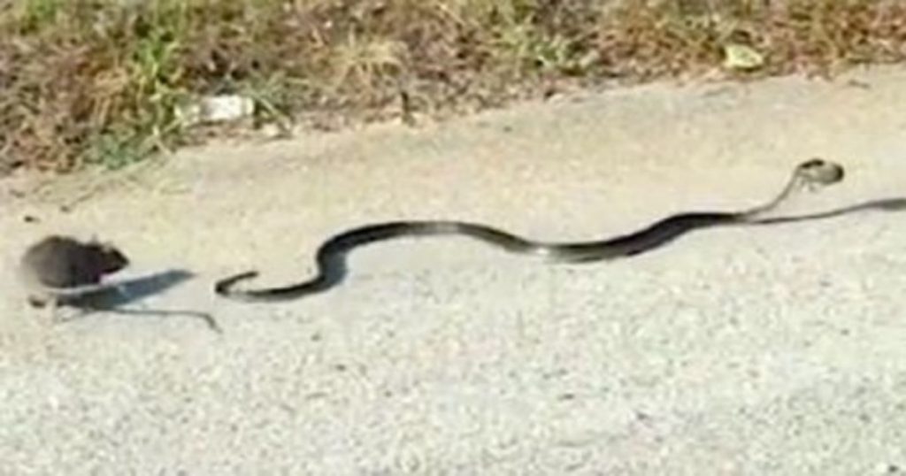 η-μητρική-αγάπη-είναι-αξεπέραστη-αρου-390698