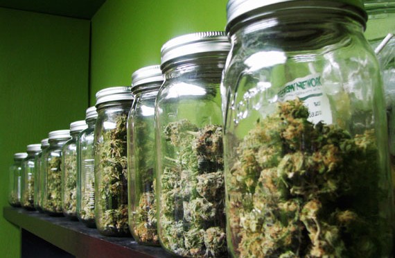 με-εγχειρίδιο-για-χασισοφυτείες-συνε-408338