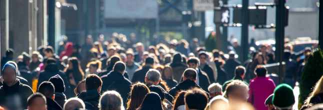 η-αδιαφορία-της-μάζας-518021