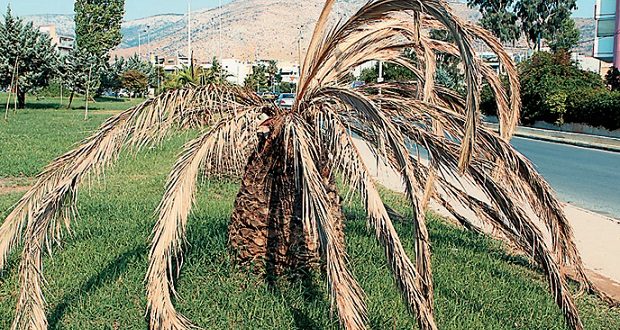 πατέντα-από-κρητικούς-επιστήμονες-γι-578298