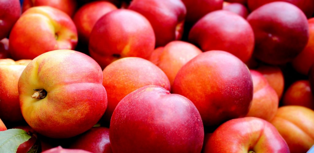 απίστευτη-κλοπή-στον-τύρναβο-άρπαξαν-571232