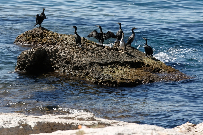 αισθητή-βελτίωση-στην-εικόνα-των-ακτώ-589874