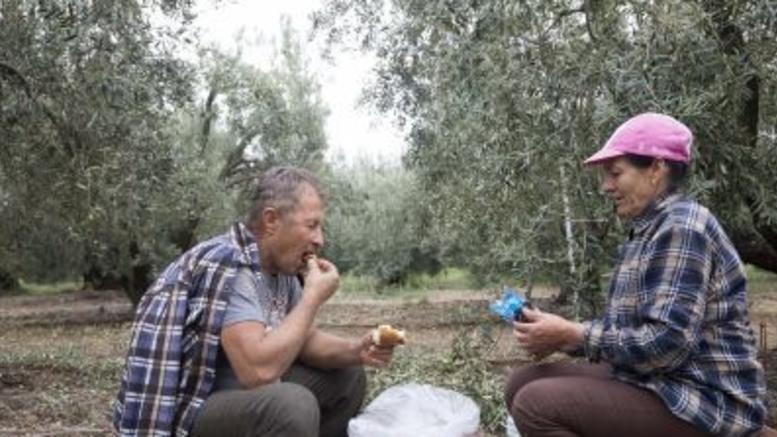ξεκινούν-οι-αιτήσεις-για-το-βοήθημα-στ-594878