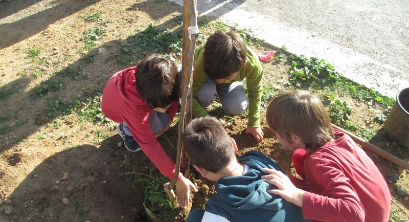 βιωματική-δράση-από-το-τμήμα-περιβάλλ-617692