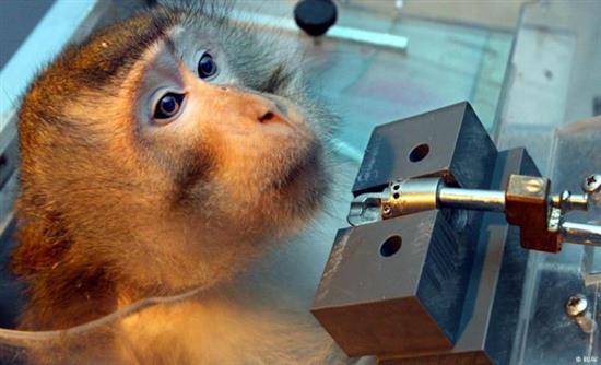 σάλος-από-τα-πειράματα-σε-ανθρώπους-κα-644782