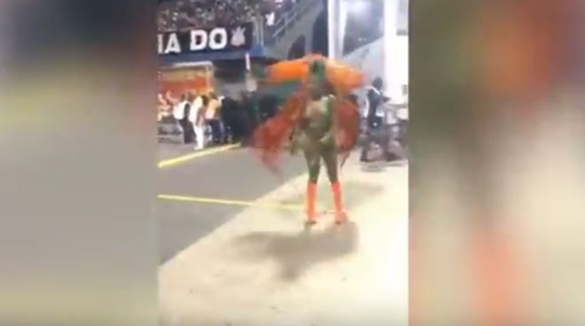 βραζιλιάνα-βασίλισσα-του-καρναβαλιο-651126