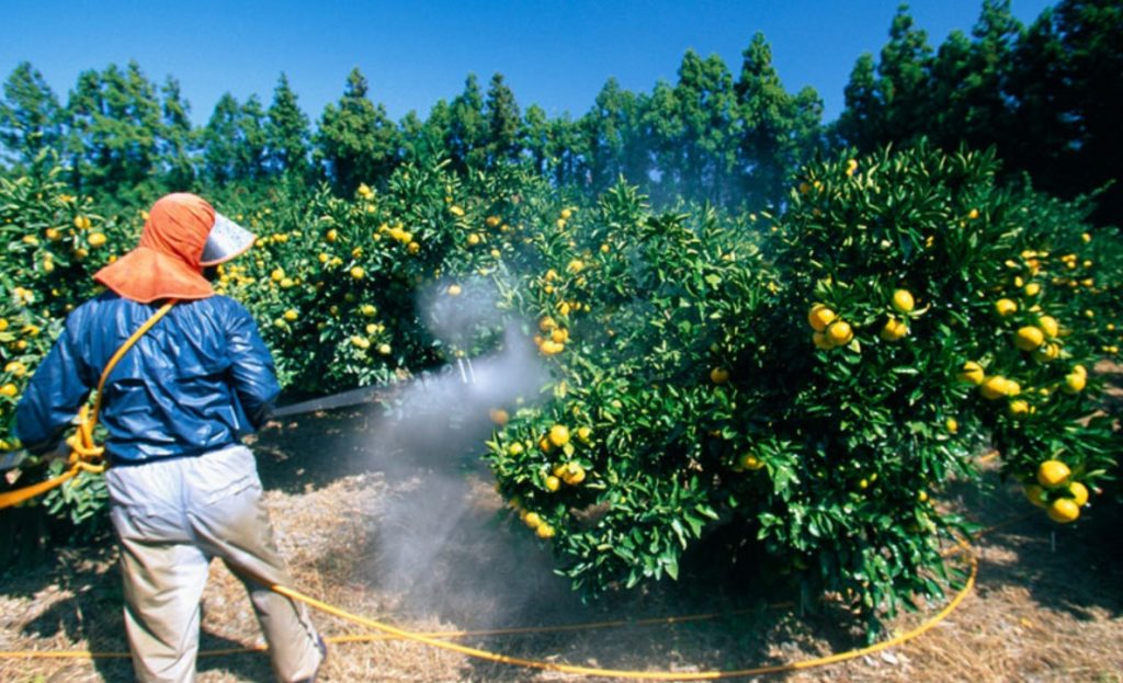 ακόμα-και-μικρή-έκθεση-σε-φυτοφάρμακα-694932