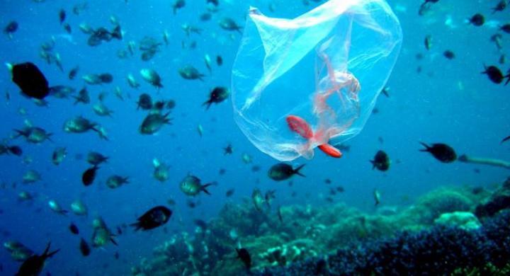 αυτό-είναι-το-πρώτο-νησί-στην-ελλάδα-πο-699822