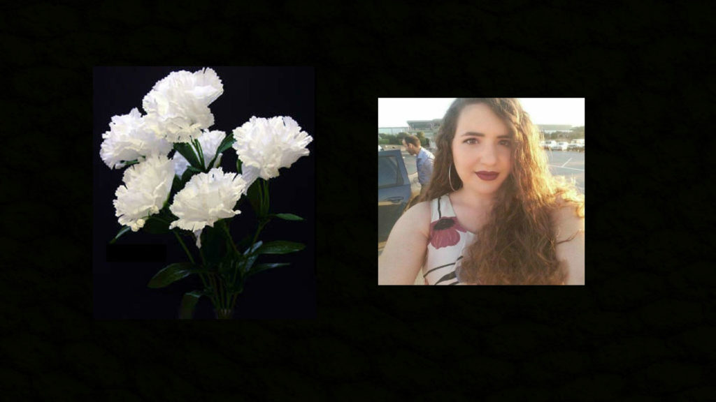 κρήτη-με-χιλιάδες-μπαλωθιές-αποχαιρέ-770034