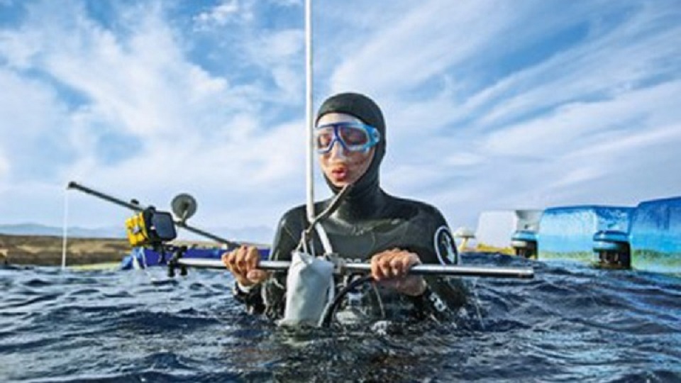 η-γυναίκα-που-εκπαιδεύει-τους-δύτες-το-859008