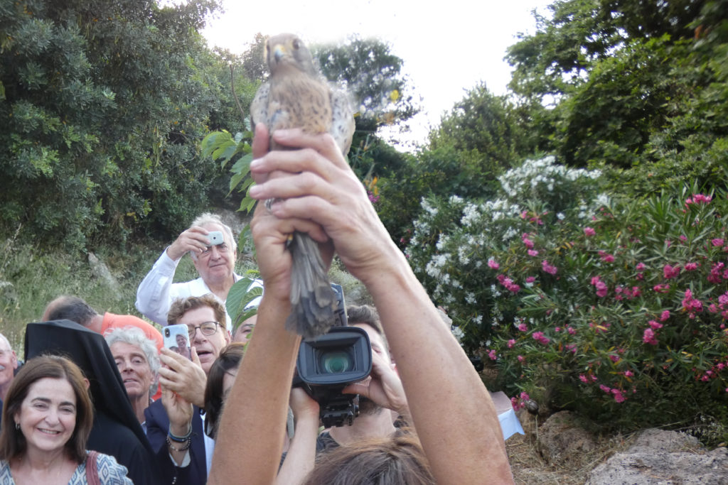 χανιά-εγκαινιάστηκε-ο-βοτανικός-κήπο-874582