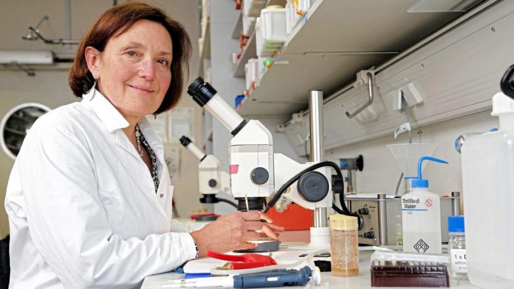 χανιά-σε-οριακό-σημείο-οι-έρευνες-των-890693