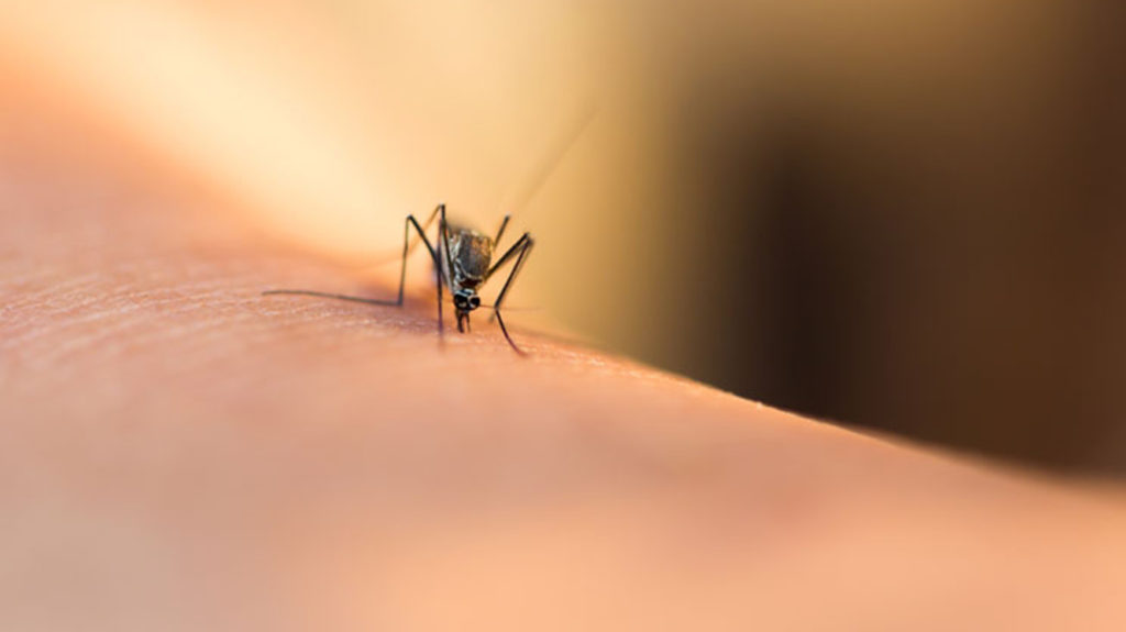 σοκαριστική-καταγγελία-έδιωξαν-οροθ-898331