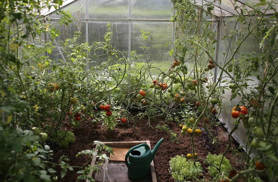 χανιά-ζητούν-διεύρυνση-της-λίστας-του-981927