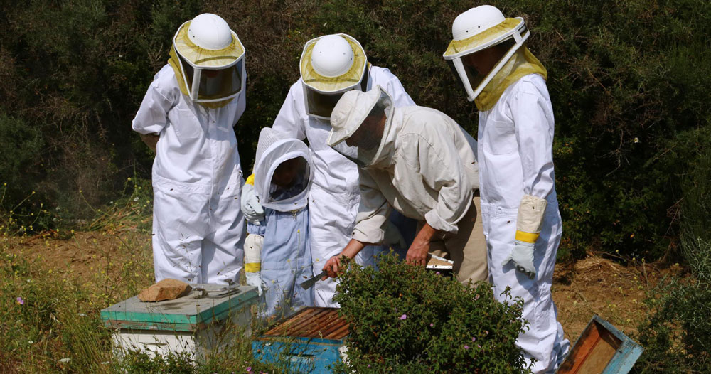 χανιά-δεν-ιδρώνει-το-αυτί-τους-μας-έ-1024617