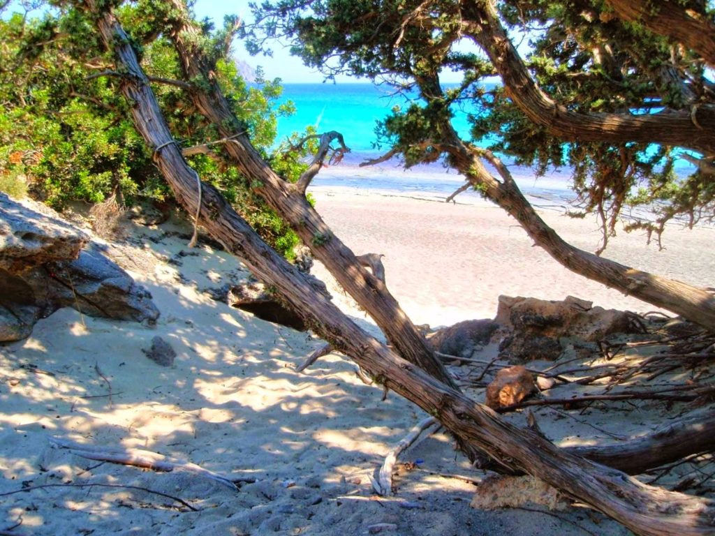 χανιά-η-γαϊδουριά-σε-όλο-της-το-μεγαλε-1053981