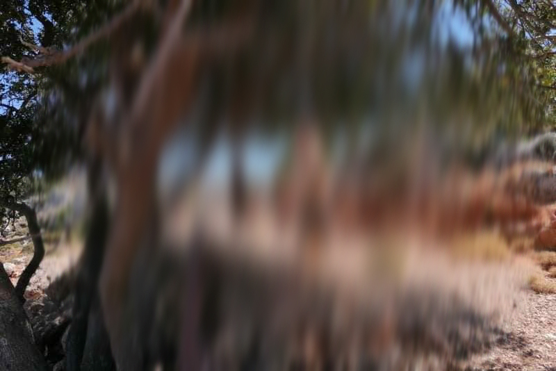 προσοχή-σκληρές-εικόνες-έγδαραν-και-κ-1091628