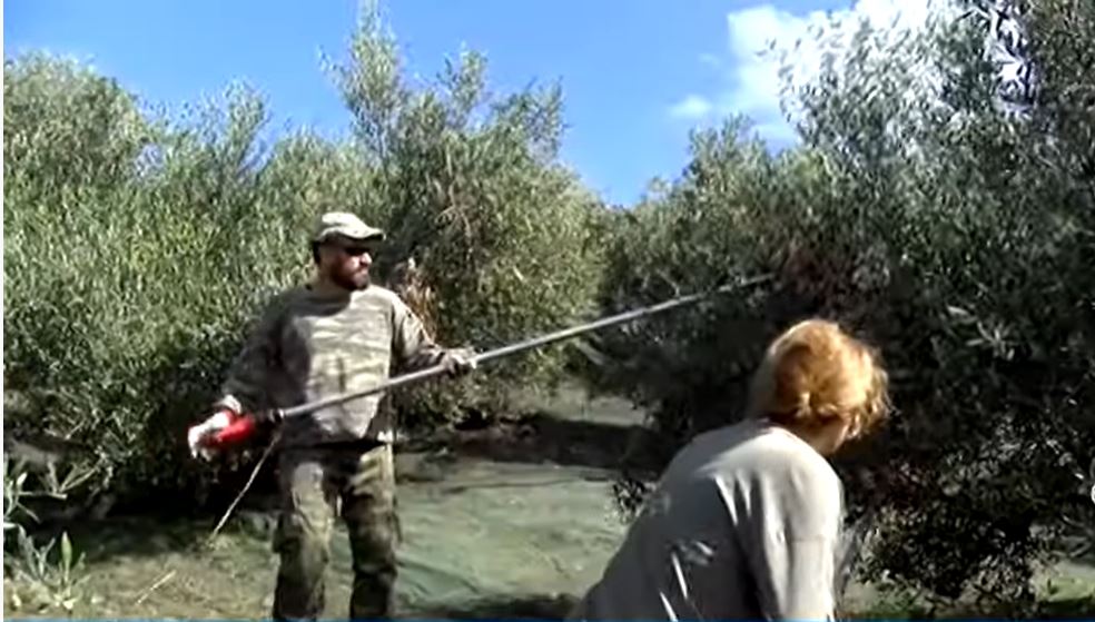 κρήτη-ένα-ολόκληρο-χωριό-έπαθε-αλλερ-1127105