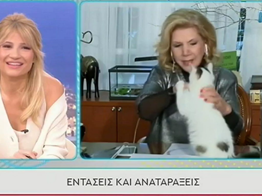 απίθανο-σκηνικό-γάτος-δάγκωσε-on-air-την-λί-1165979