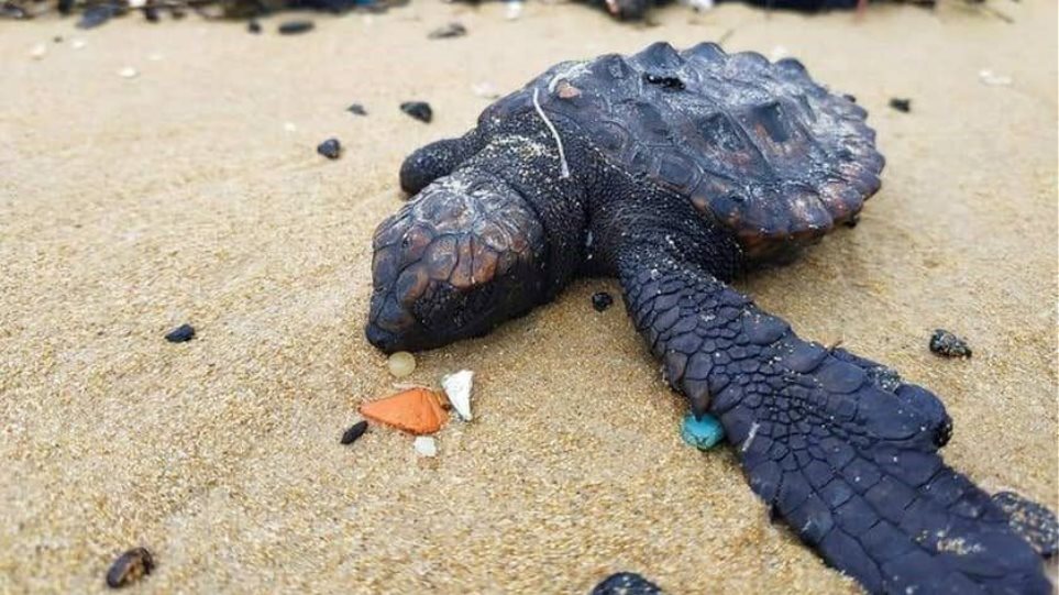 ισραήλ-υπό-έρευνα-δεξαμενόπλοιο-ελλη-1181562