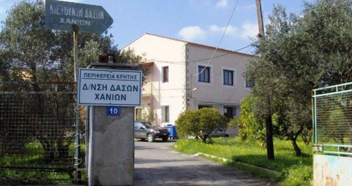 από-την-μούσα-στην-χάριν-παραμένει-γυ-1198859