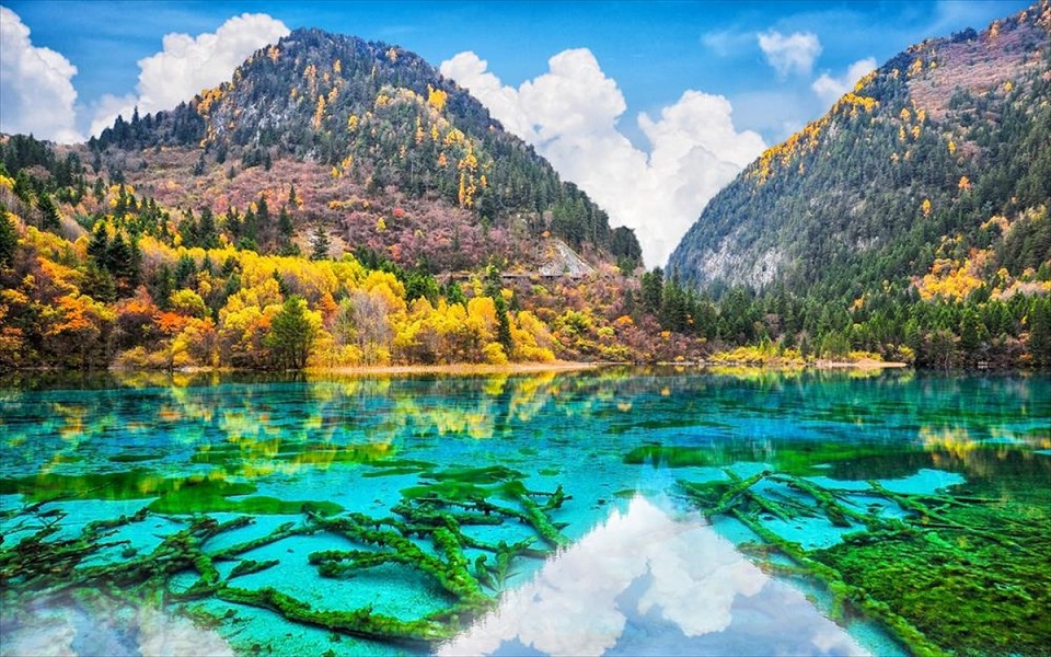 κι-όμως-δεν-είναι-πίνακας-ζωγραφικής-ε-1227172