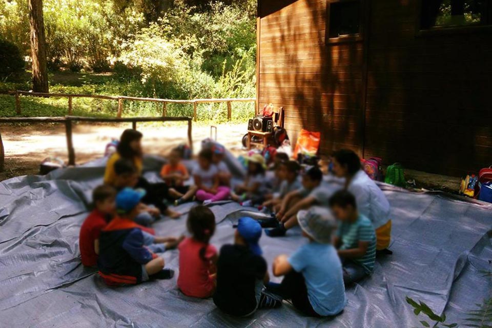 καταιγιστικές-εξελίξεις-κλείνει-η-κα-1249096