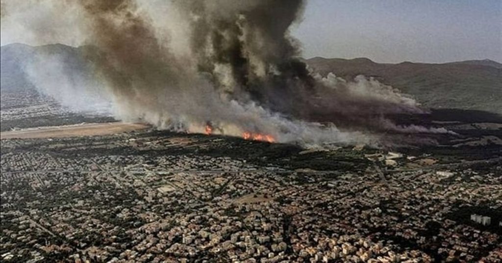 άρειος-πάγος-εισαγγελική-παρέμβαση-γ-1264258