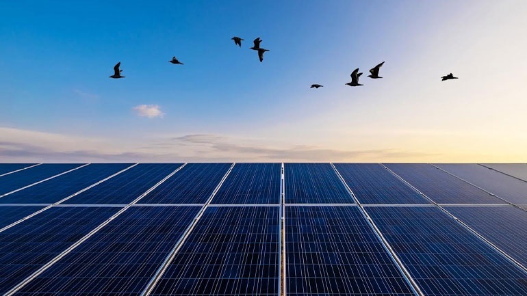 μέχρι-το-2050-το-45-του-ηλεκτρισμού-μπορεί-να-1279993