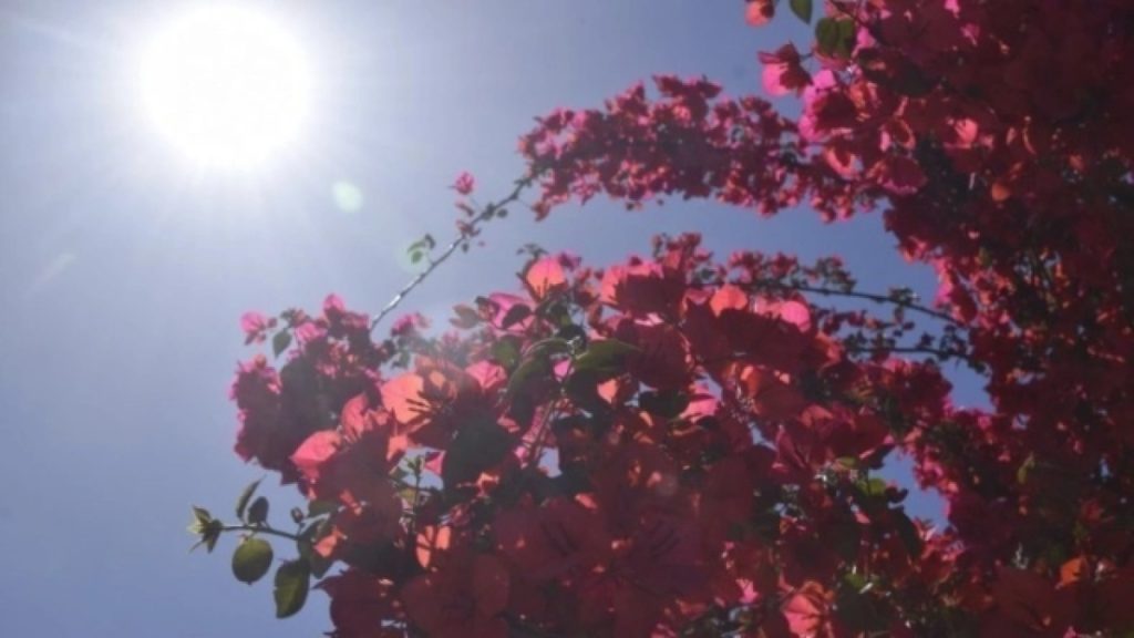 o-καιρός-στην-κρήτη-την-μεγάλη-παρασκευ-1308571