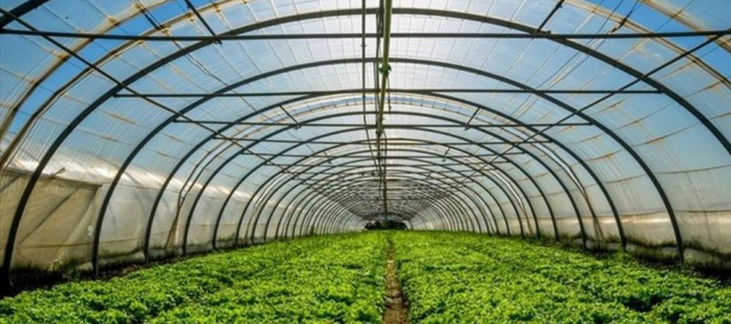 χανιά-έχετε-θερμοκήπιο-πρέπει-να-συμμ-1370026