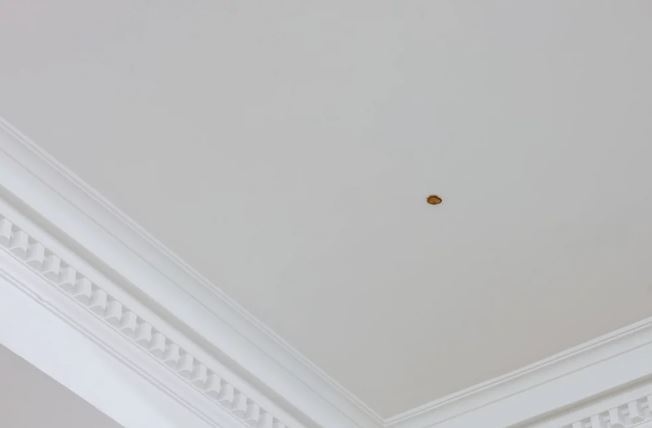 καλλιτέχνης-πέταξε-πίκλα-από-μπέργκε-1499837