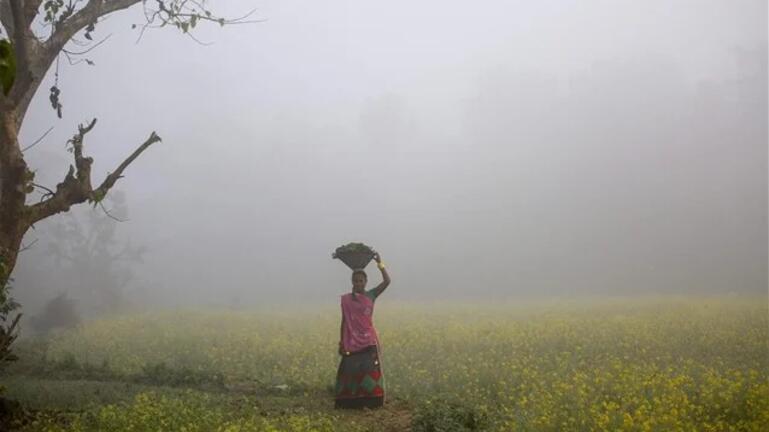 η-γλώσσα-στην-οποία-δεν-υπάρχει-η-λέξη-1505412