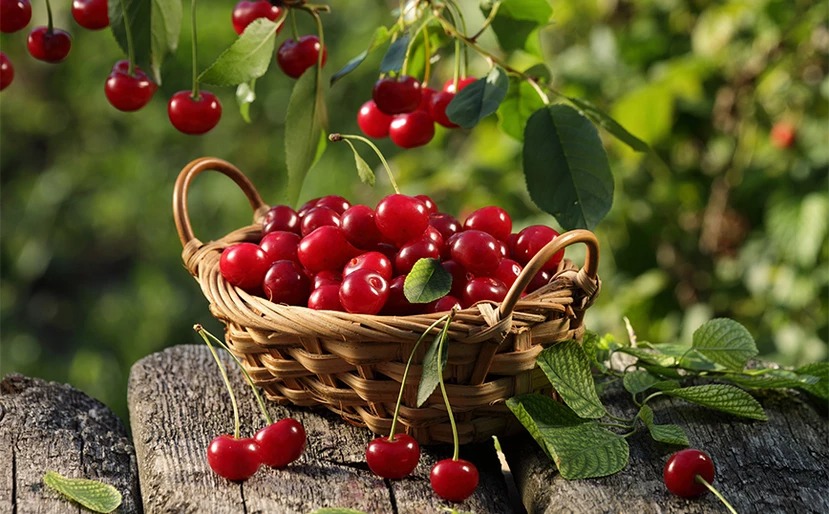 ακρίβεια-φωτιά-οι-τιμές-των-κερασιώ-1612126