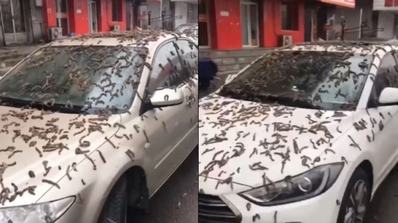 οι-ουρανοί-άνοιξαν-στη-κίνα-αλλά-αντί-γ-1646036