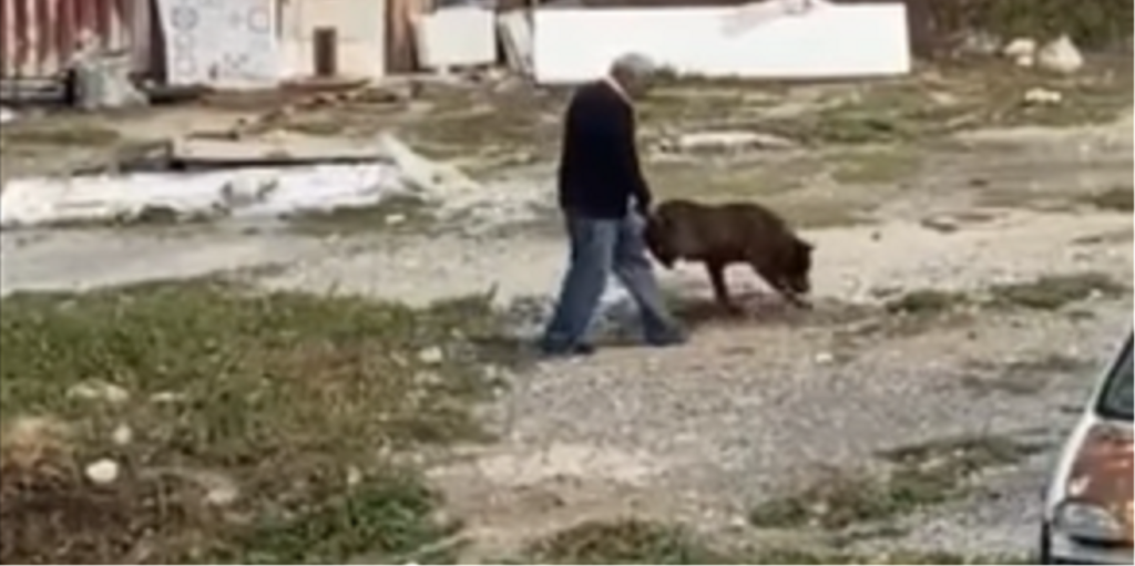 κρήτη-συγκίνηση-παππούς-πηγαίνει-βόλ-1680177