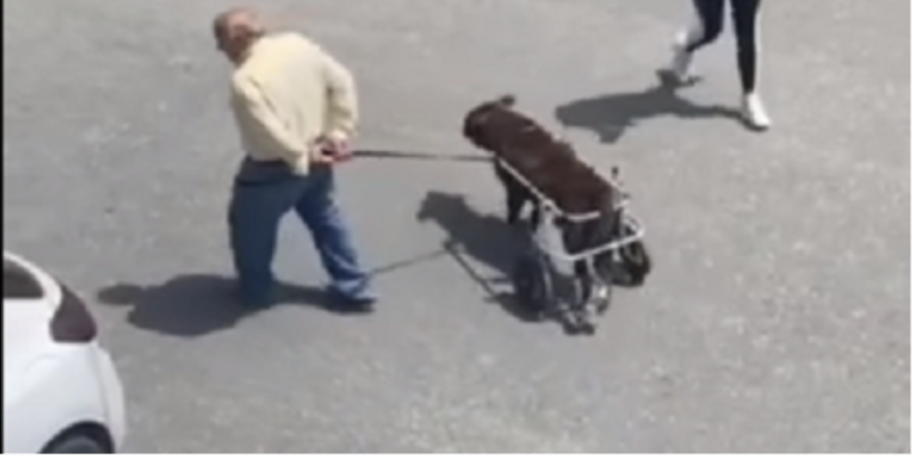 κρήτη-έκαναν-δώρο-καροτσάκι-για-τον-αν-1694836