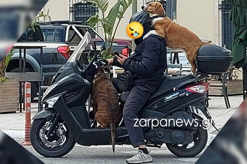 χανιά-τρικάβαλο-με-τους-σκύλους-και-το-1687187