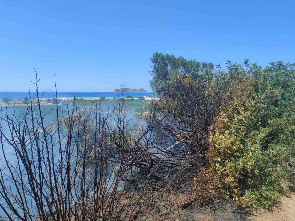 χανιά-φωτιά-στα-φαλάσσαρνα-άμεση-επ-1718799