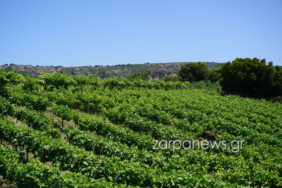 χανιά-τι-πρέπει-να-κάνουν-όσοι-θέλουν-1717565