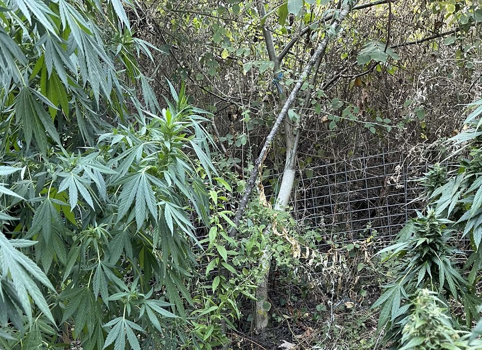 κρήτη-χειροπέδες-σε-έναν-65χρονο-για-κα-1734816