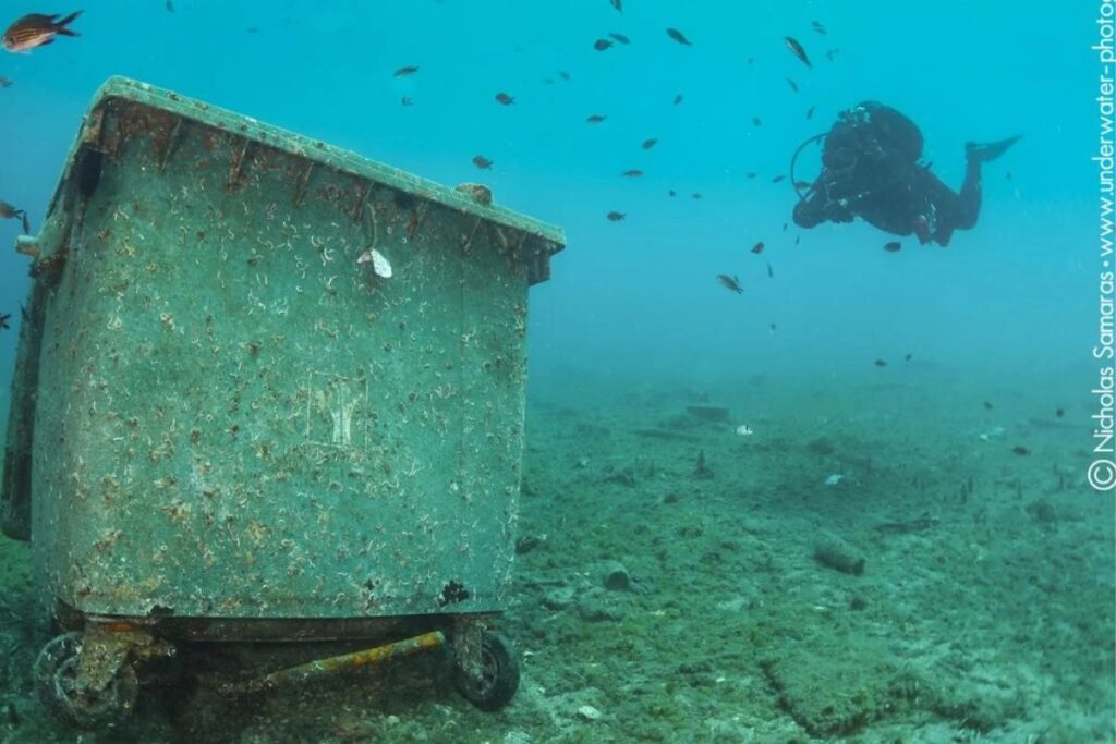 ο-πλούσιος-βυθός-της-χαλκιδικής-πέτ-1730451