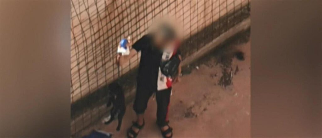 σοκ-με-νέα-κακοποίηση-ζώου-15χρονος-κρέ-1724173