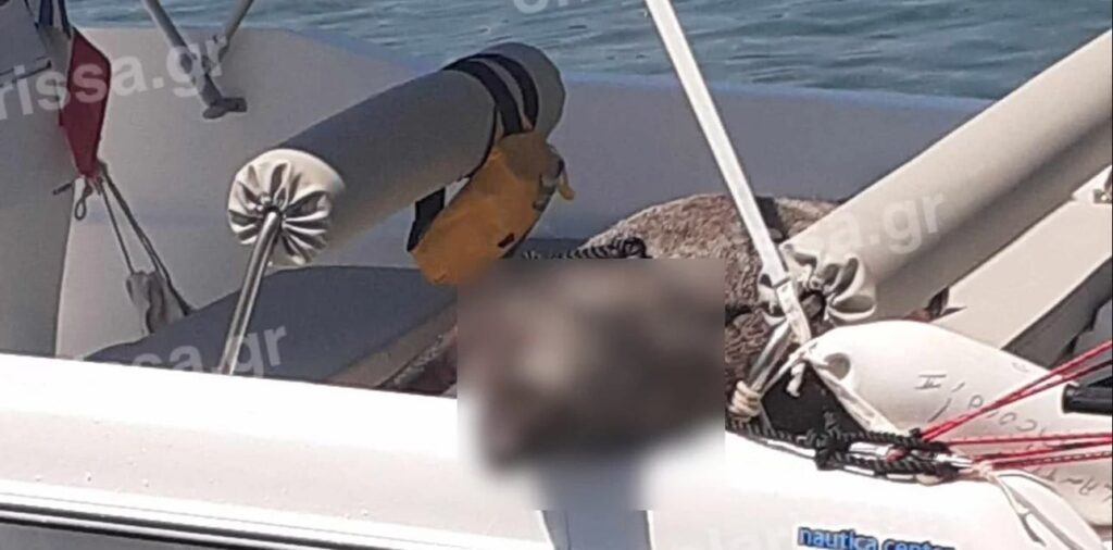 πήγαν-για-ψάρεμα-και-έπιασαν-αγριογο-1727045