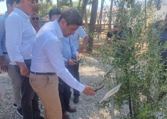 χανιά-μας-ήρθε-σαν-από-ριάλιτι-η-εν-1750853